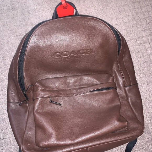 backpack louis vuitton tiger LOUIS VUITTON Rubens Palm Springs Backpack – REAWAKE